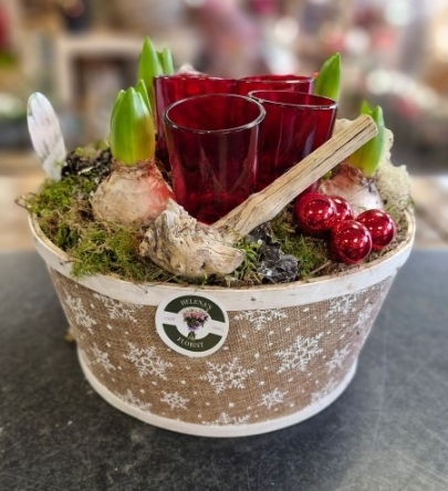 Round christmas hyacinth planter