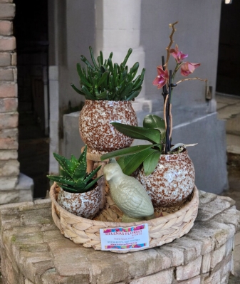 Indoor orchid succulent trio planter with ornament and presentation tray