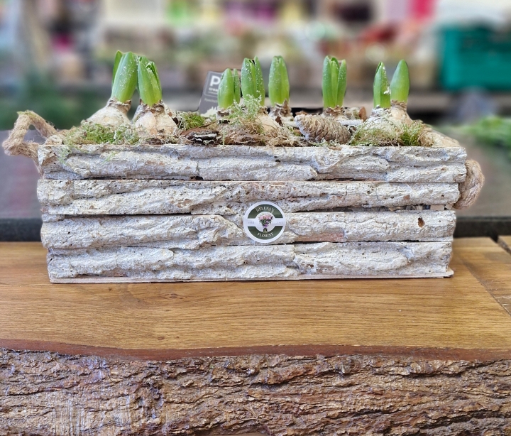 Whitewash hyacinth trough