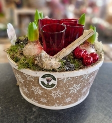 Round christmas hyacinth planter