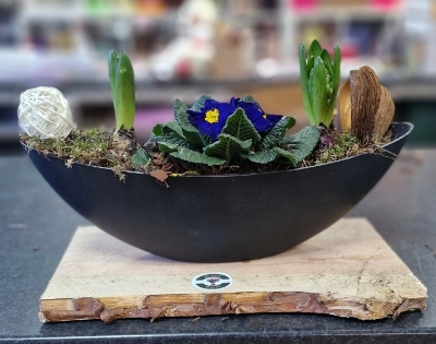 Oval spring bulb planter