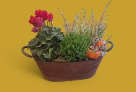 Rustic tin planter