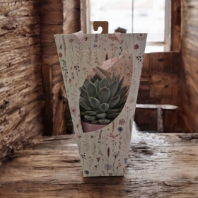 Succulent Gift Bag and Ceramic Pot